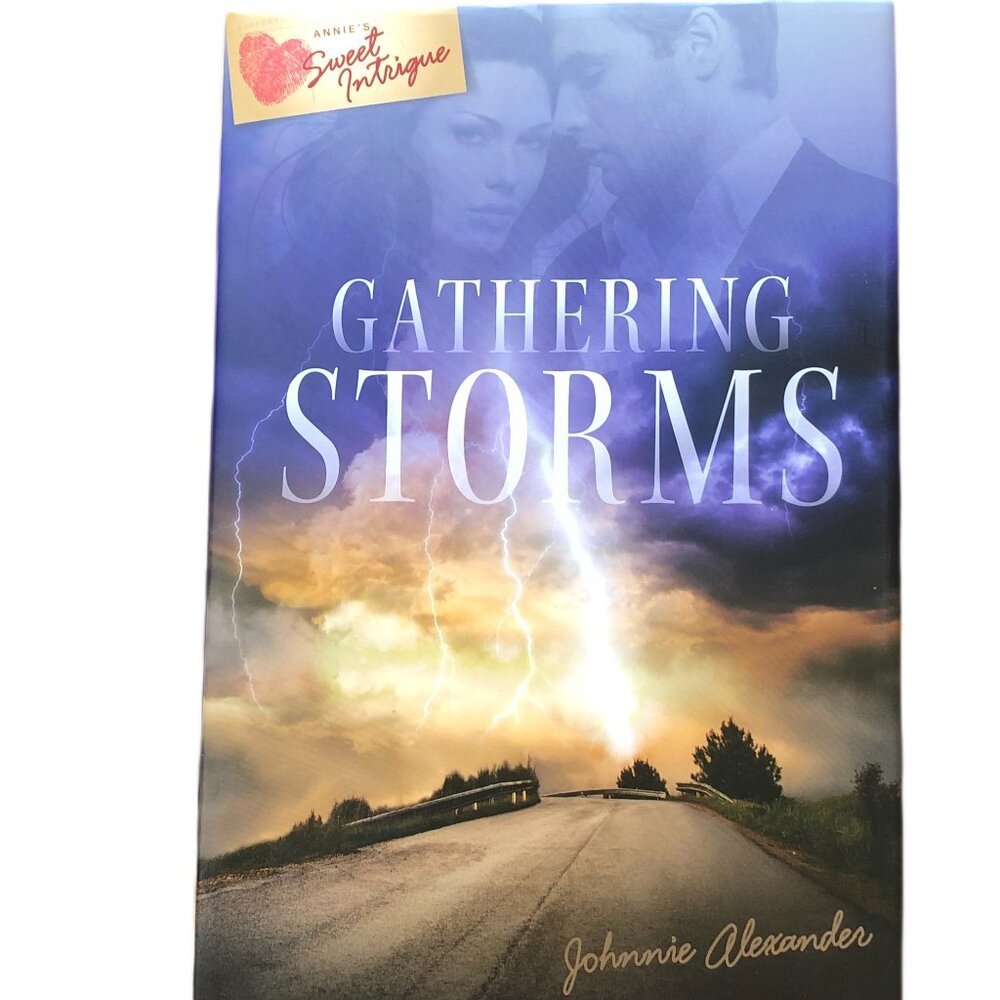 Annie's Sweet Intrigue - Gathering Storms (Hardback)